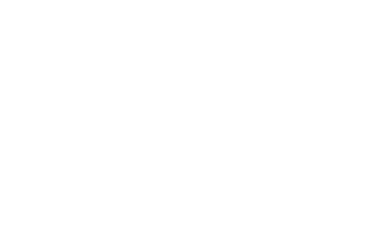nv decor ltd logo upscaled white